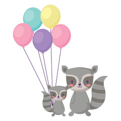 cute raccoons and balloons over white background, vector illustration