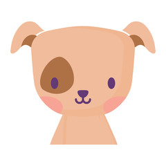 cute dog icon over white background, vector illustration