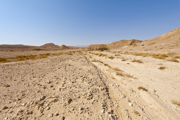 Melancholy and emptiness of the desert in Israel.