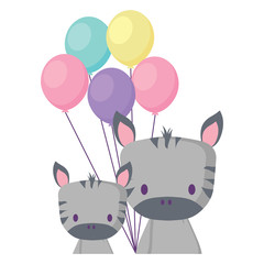 cute zebras and balloons over white background, vector illustration