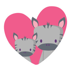 heart with cute zebras over white background, vector illustration