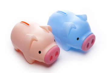 pig coin bank isolated white