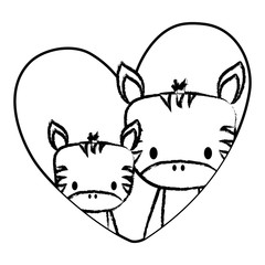 heart with cute zebras over white background, vector illustration
