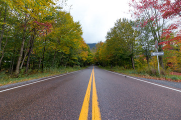 Fototapeta premium Road to Paradise City - Vermont, NH during Fall season