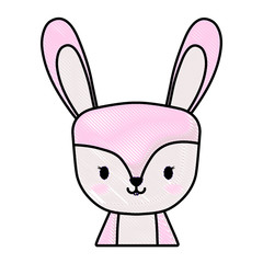 cute rabbit icon over white background, vector illustration