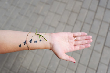 Green grasshopper sitting on a hand.