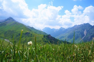 Berge Panorama Alm