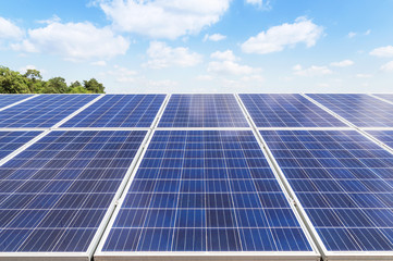 Close up rows array of polycrystalline silicon solar cells or photovoltaics in solar power plant turn up skyward absorb the sunlight from the sun 