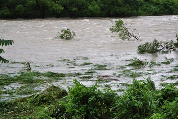 川を流れる濁流
