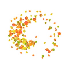 Autumn Flying Leaves