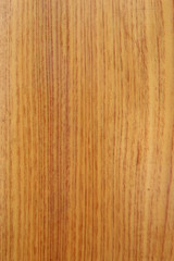 Naklejka premium Natural texture ofsandalwood trees fragrant in lao. Extremely high resolution photo