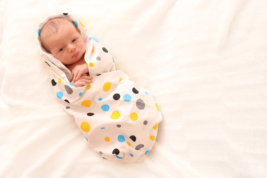 Cute newborn in cocoon on white background