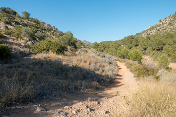 Trails of the desert of the palms in Castellon