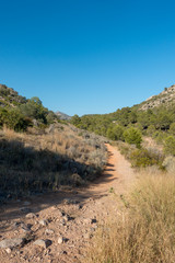 Trails of the desert of the palms in Castellon