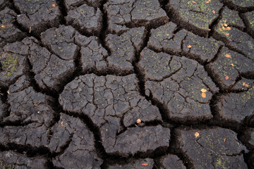 Climate change and global warming: heat and drought causing cracked soil