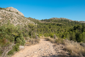 Trails of the desert of the palms in Castellon