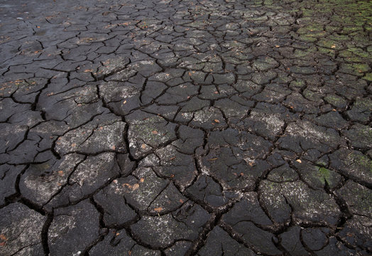 Climate change and global warming: heat and drought causing cracked soil