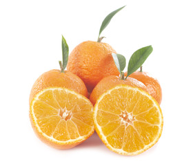 oranges in studio