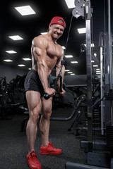 Fototapeta na wymiar Athletic muscular bodybuilder trains triceps workout on simulators in gym