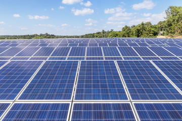                   Close up rows array of polycrystalline silicon solar cells or photovoltaics in...