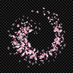 Abstract Flying Petals