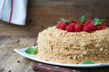 Honey cake with raspberries on a plate  