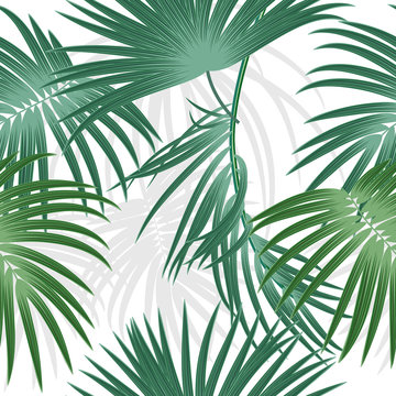 Tropical plant seamless pattern, tropical leaves of palm tree.