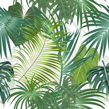Tropical plant seamless pattern, tropical leaves of palm tree.