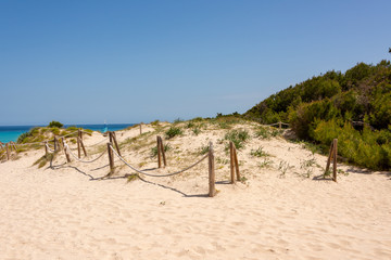 Fototapeta na wymiar Sand paths through the protected dunes to Cala Agulla beach on the Spanish holiday island of Mallorca