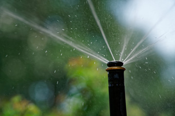 Sprinkler system watering flower in park