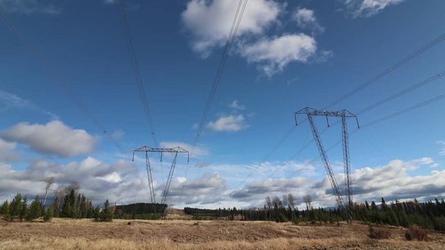 A Time Lapse of the forest with power lines going through them in Beautiful British Columbia Canada,