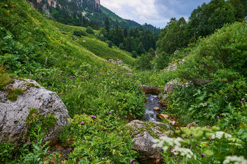 The Caucasus mountains in Russia