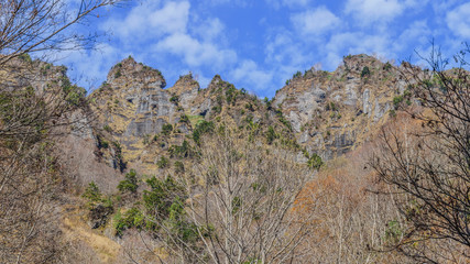 秋の戸隠神社奥社の境内の風景