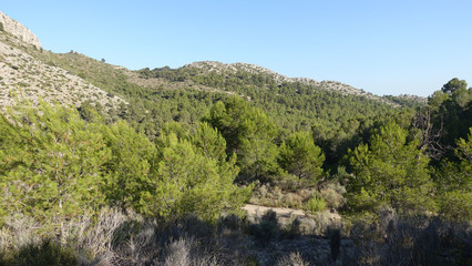 Trails of the desert of the palms in Castellon