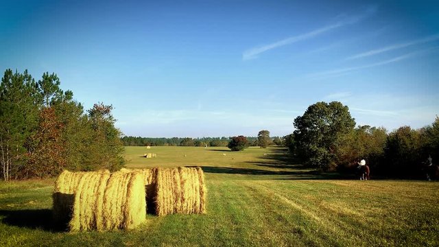 A fox hunt near hay bales.