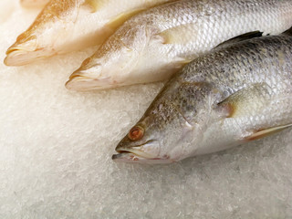 Snapper fresh fish on ice at the seafood booth in a market for sale use for cooking