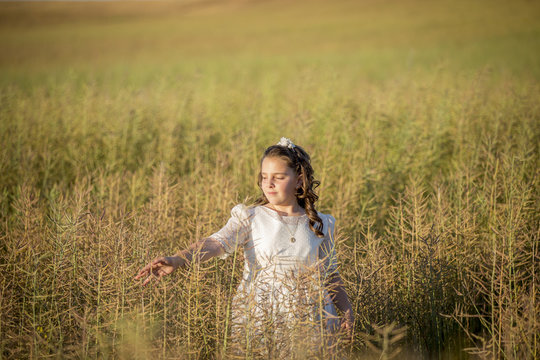 Confirmacion 이미지 찾아보기 337 스톡 사진, 벡터 및 비디오 Adobe Stock