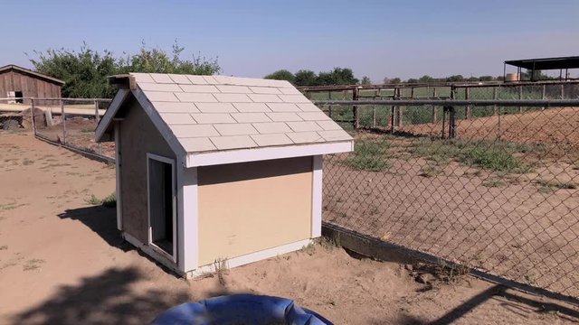 Dog yard with dog house and pool.