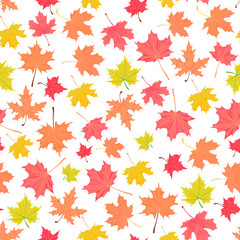 Naklejka na ściany i meble Background with colorful autumn foliage. Maple leaf.