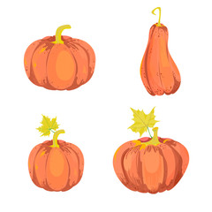 Design element with pumpkins