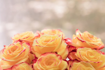bouquet of ylellow roses with water drops on bokeh background. greeting postcard concept with copy space for your text.