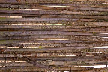 Horizontal background of old dry wood branches