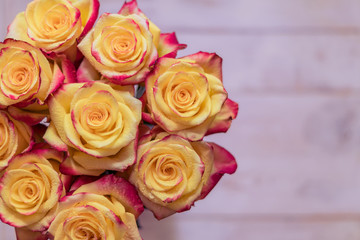 top view  of bunch of roses of yellow and red colors with water drops. greeting card concept with copy space