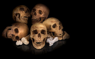 Awesome five human skull with glossy reflection low-key lighten.