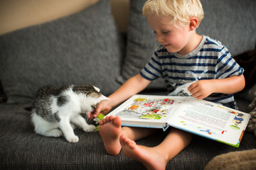 mit der Katze Buch anschauen