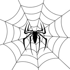 Spider web stock vector illustration