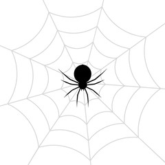 Spider web stock vector illustration