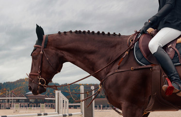 Equestrian sport
