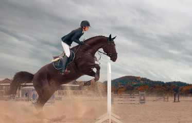 Equestrian sport