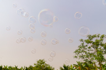 Soap bubbles in the air with natural background, Outdoor activity funny and party